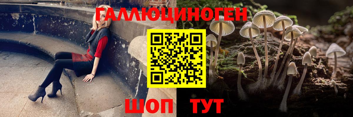 Мариинск  Галлюциногенные грибы Psilocybe  продажа наркотиков  Вход с VPN 